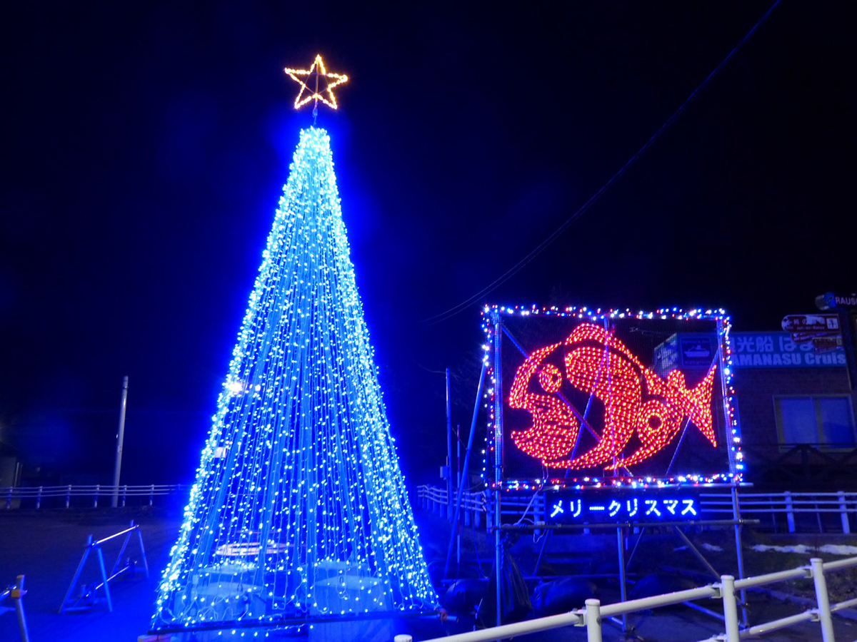 ツリー型イルミネーション設置のお知らせ | 知床羅臼町観光協会